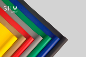 SIIM IMPORT (38).png