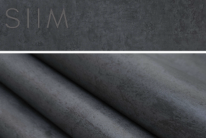 SIIM IMPORT (34).png