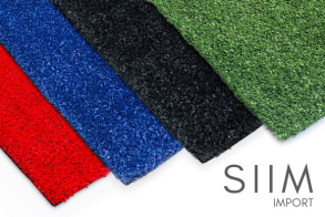 SIIM IMPORT (40).png